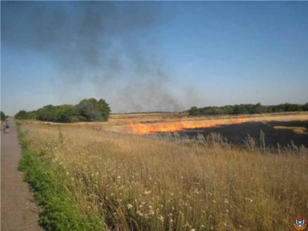 Чрезвычайная пожароопасность сохранится в Ростовской области до 15 июня