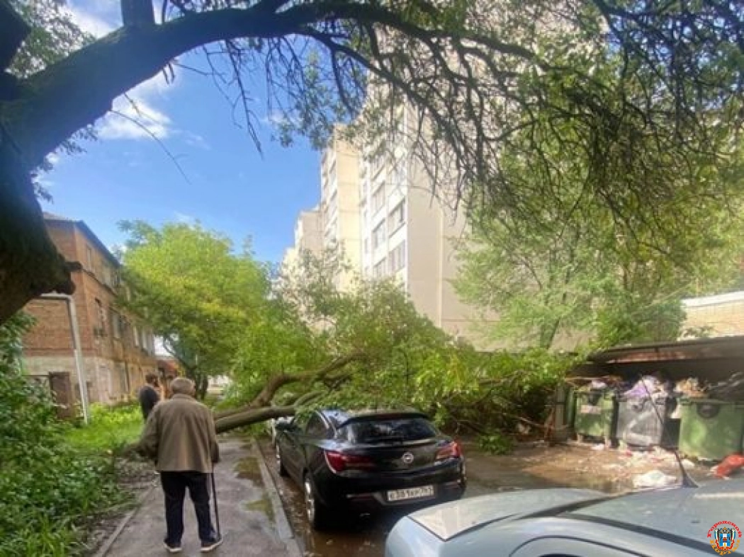В Ростове на Петренко упавшее во время ливня дерево раздавило «Ладу Гранту»