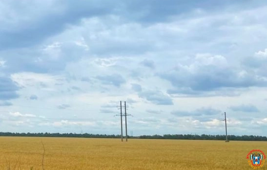 В Ростовской области метеорологи зафиксировали засуху на пропашных культурах