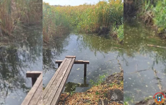 56-летний мужчина погиб на рыбалке в хуторе Липов