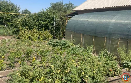 Что нельзя строить на дачах напомнили садоводам из Ростовской области