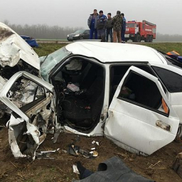 В ДТП в Ростовской области погибли двое взрослых и ребёнок