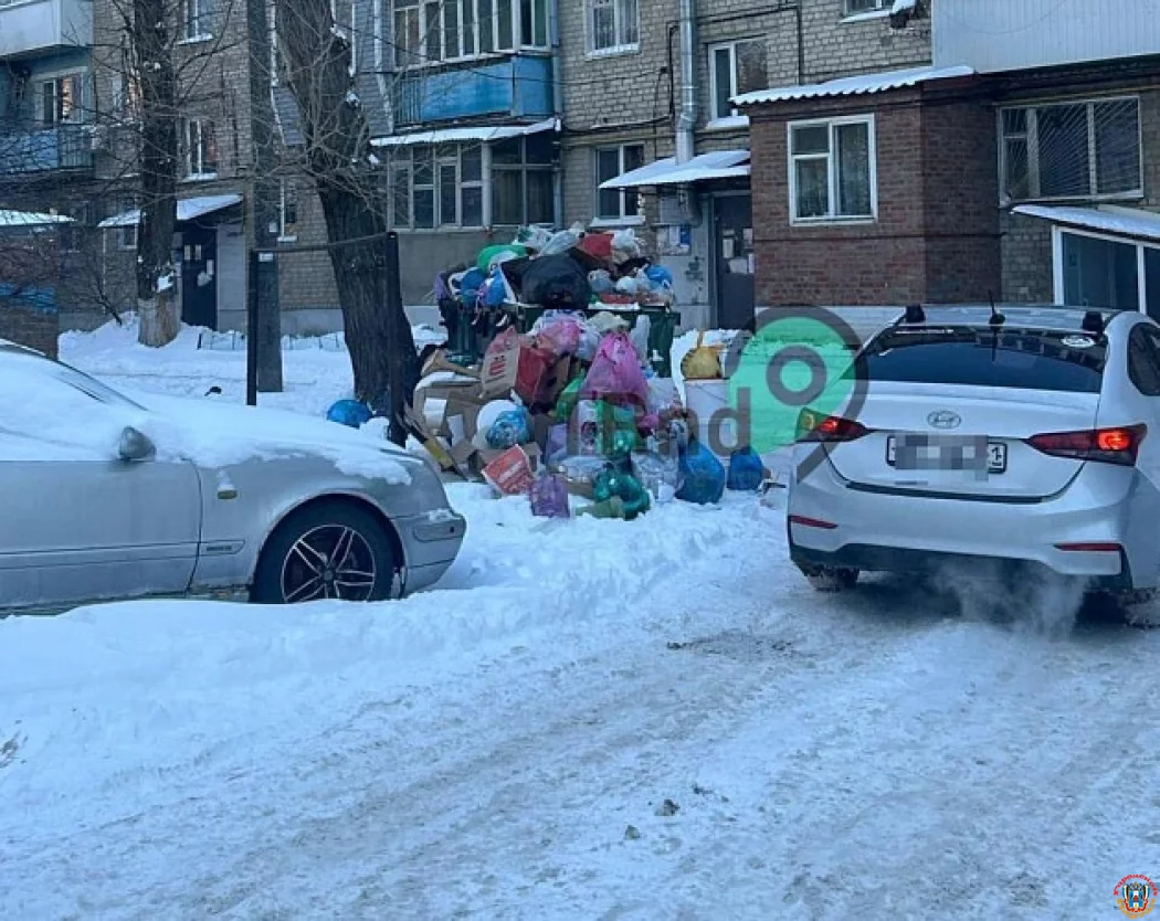 Мусорный плен в Ростовском переулке: жители донской столицы возмущены невывозом бытовых отходов