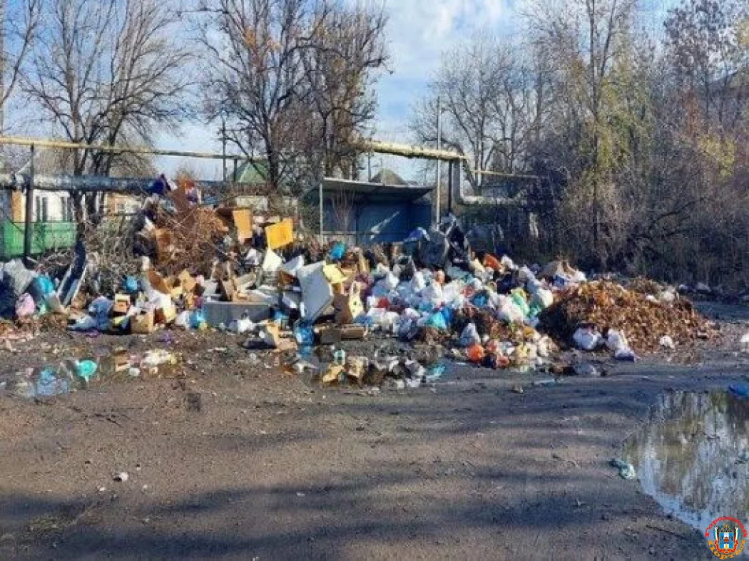 24 миллиона рублей потратят на ликвидацию свалок в Первомайском районе Ростова