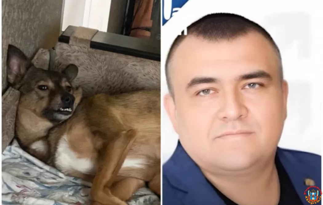 В Новочеркасске экс-кандидат в депутаты расстрелял собаку и угрожал ее хозяину