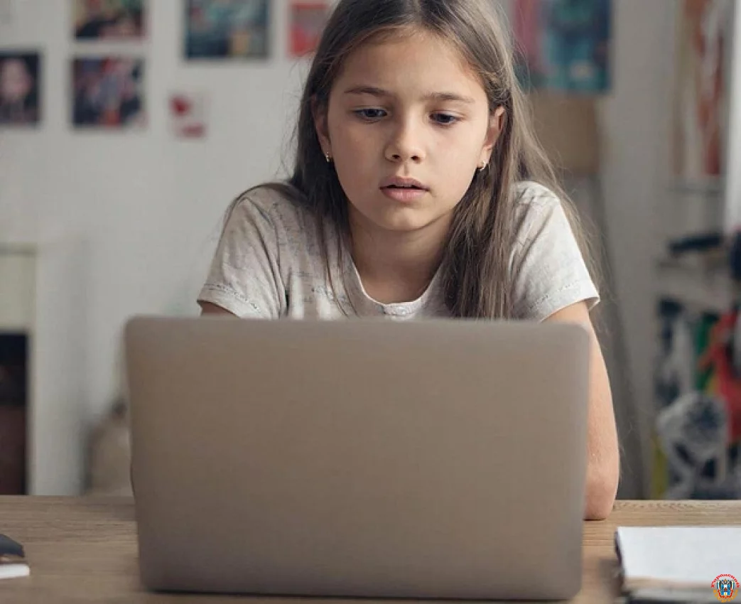 Доверчивость ценой в капитал: ростовский подросток под диктовку аферистки лишил семью 350 тысяч рублей