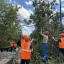 Пятые сутки на линии: в Аксайском районе продолжают возвращать свет после урагана