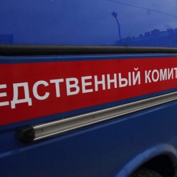 В Брянске женщину зарезали на улице средь бела дня