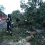 Опасность в лесах Ростова: горожан просят не посещать лесные зоны после шторма