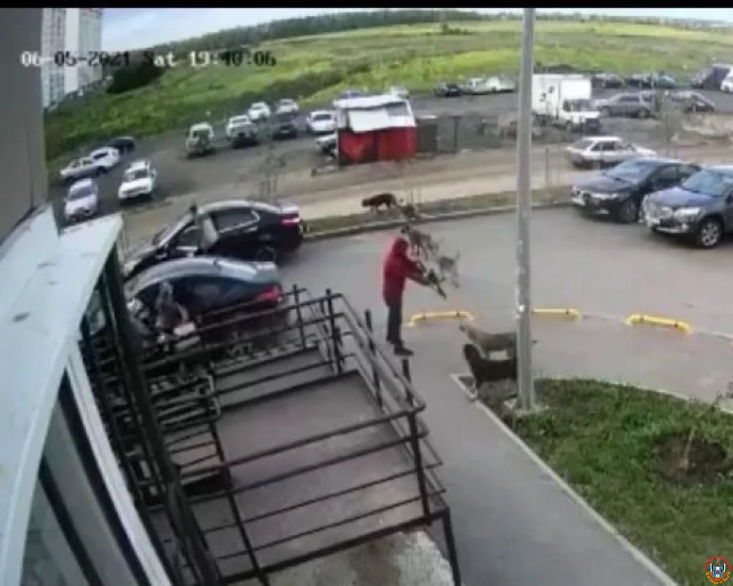 В Ростове будут судить мужчину, расстрелявшего собак в Суворовском В Ростове будут судить мужчину, расстрелявшего собак в Суворовском