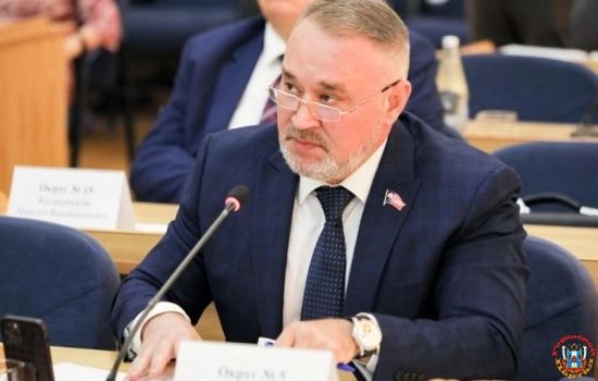 В Ростове депутаты попросили поменьше проверять общественный транспорт из-за ситуации в экономике