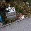 Горожанка возмущена мусорными кучами в Ростове-на-Дону 2