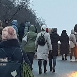 Жители Суворовского посетовали на ежедневную битву за транспорт