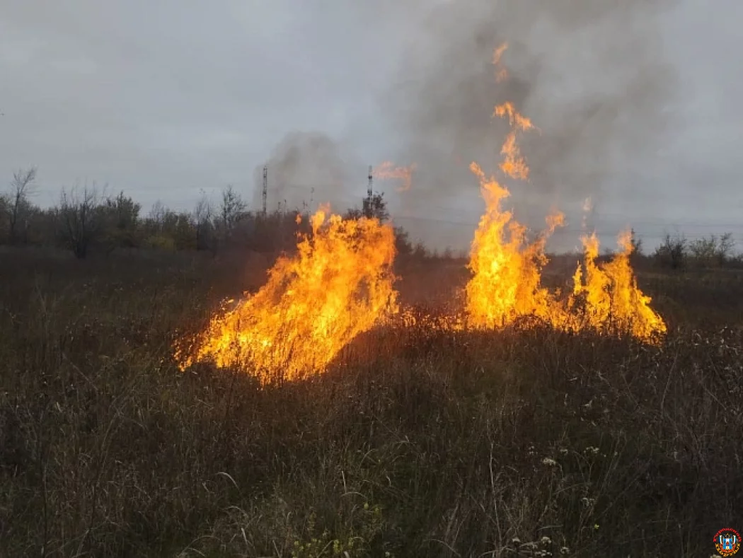 Дым над левобережьем: в Ростове 12 марта проведут плановое выжигание сухой растительности