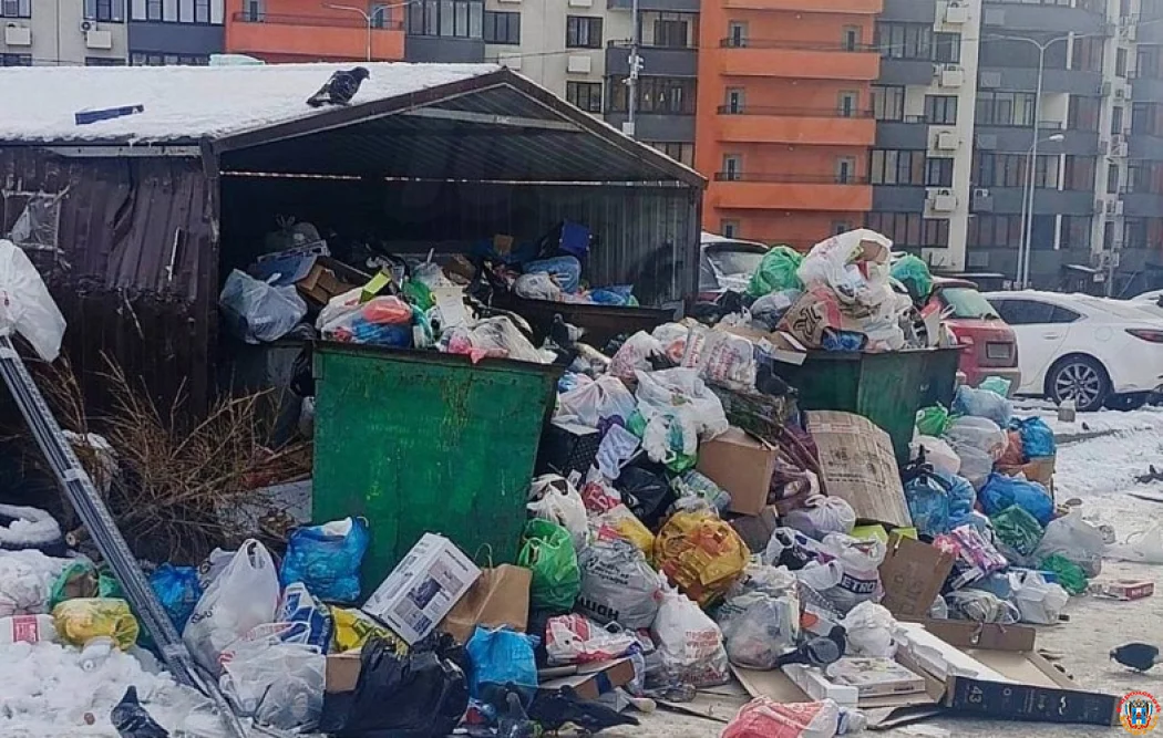 &laquo;Услуга должна быть оказана&raquo;: глава донского ЖКХ выставила претензию регоператору из-за мусорного коллапса