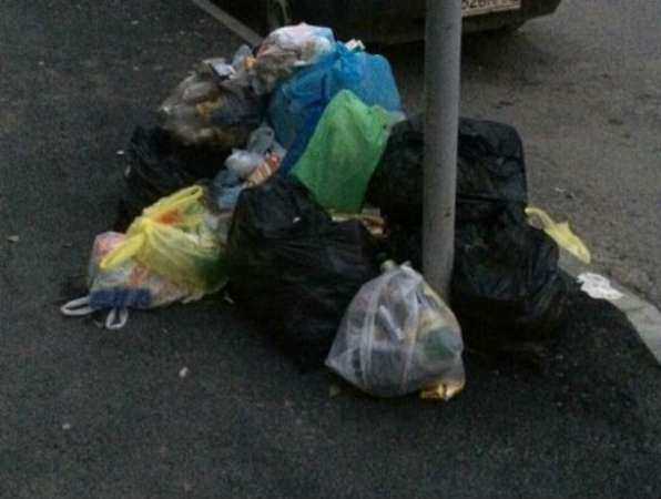 Черви в мусорных пакетах рядом с городской больницей довели до тошноты жителей Ростова
