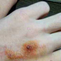 Голодная «зомби-учительница» до крови искусала молодого пассажира маршрутки в Ростове