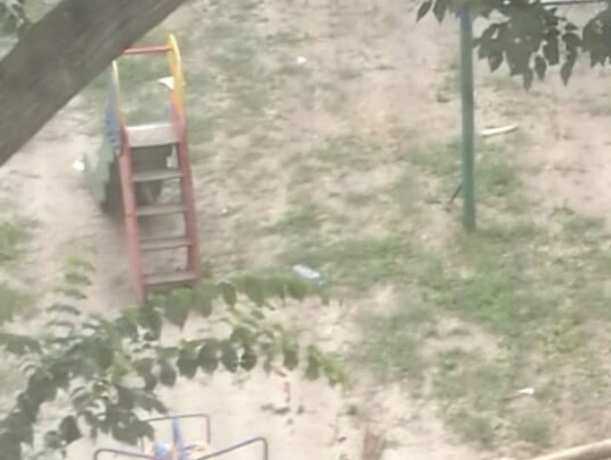 Громадное дерево рухнуло на детскую площадку в Ростове-на-Дону