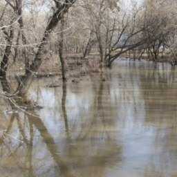Угроза весеннего разлива рек пугает жителей Ростовской области