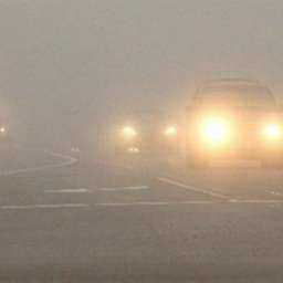 Движение пассажирского транспорта по трассе «Ростов-Волгодонск» ограничено из-за густого тумана