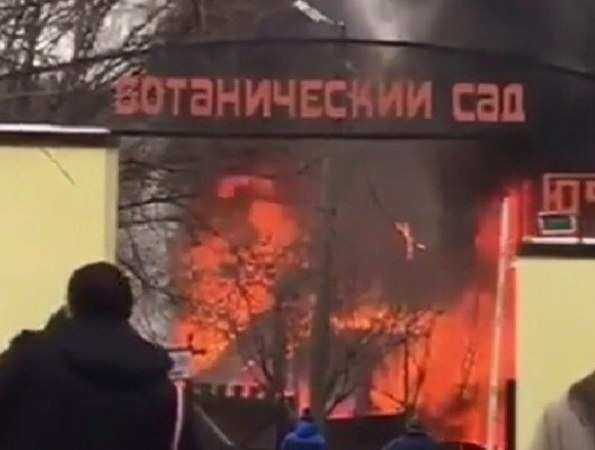 Огромное пламя охватило баню в Ботаническом саду Ростова Огромное пламя охватило баню в Ботаническом саду Ростова