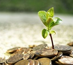 Начинающие предприниматели могут попасть в ростовский бизнес-инкубатор