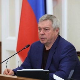 Губернатор Ростовской области рассказал об антикризисных мерах поддержки донского бизнеса