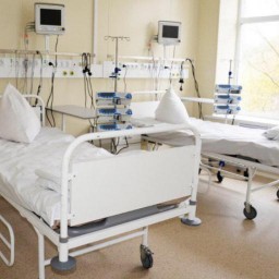 Логвиненко: Ростов готов развернуть еще больше ковидных коек