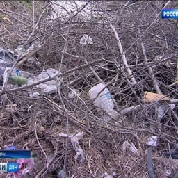 Бесхозная свалка на остановке ГПЗ-10: кто должен убрать мусор?
