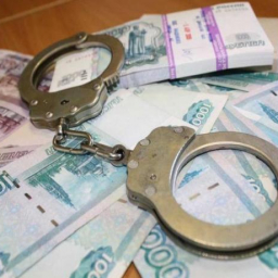 Житель Ростова незаконно обернул 700 млн рублей через подставные фирмы