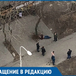 В центре Ростова мужчине снесли голову выстрелом из ружья