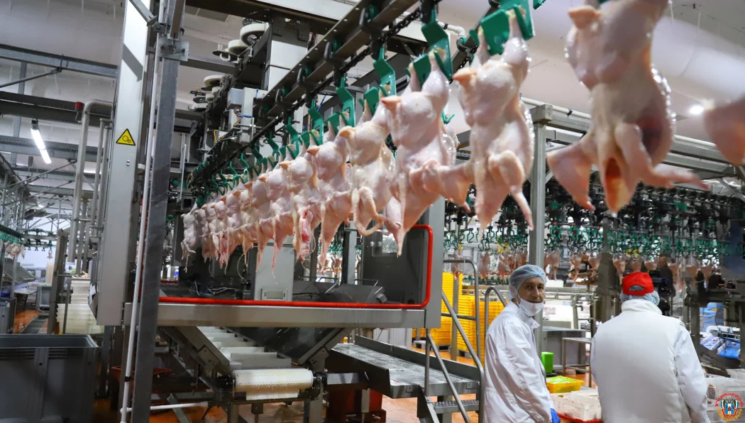 Донская птица берет курс на Восток: более 130 тонн мясной продукции экспортировано в страны СНГ