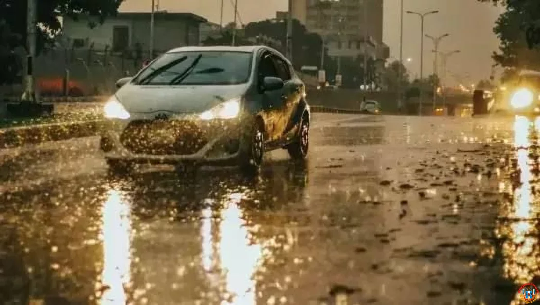 Как защитить номера от грязи и снега, рассказали Ростовские водители