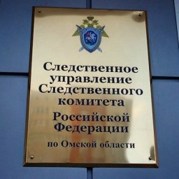 Утопила младенца и умерла: 27-летняя омичка подозревается в убийстве младенца