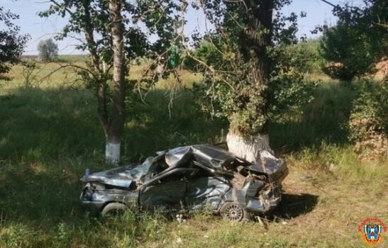 Машина – всмятку: на трассе Ростовской области один погиб, и двое пострадали в ДТП
