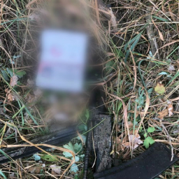 В Ростовской области главарь банды террористов взорвал себя, чтобы не попасть в руки спецслужб