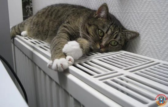 Отопительный сезон в Новочеркасске продлили до 22 апреля