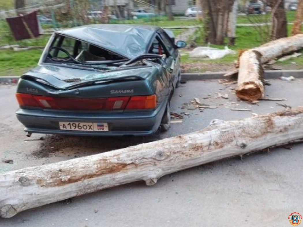 В Ростове на 40-летия Победы дерево раздавило легковушку
