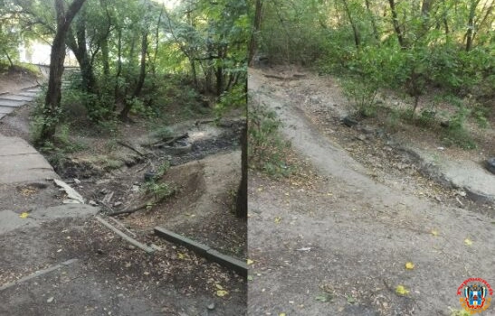 Жители Ростова просят очистить ручей Темерничка в Лелюшенковском лесопарке