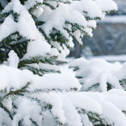 В субботу в Ростове синоптики прогнозируют снегопад