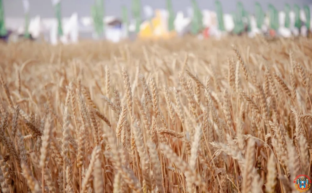 Донская компания уступила место лидера по экспорту зерна