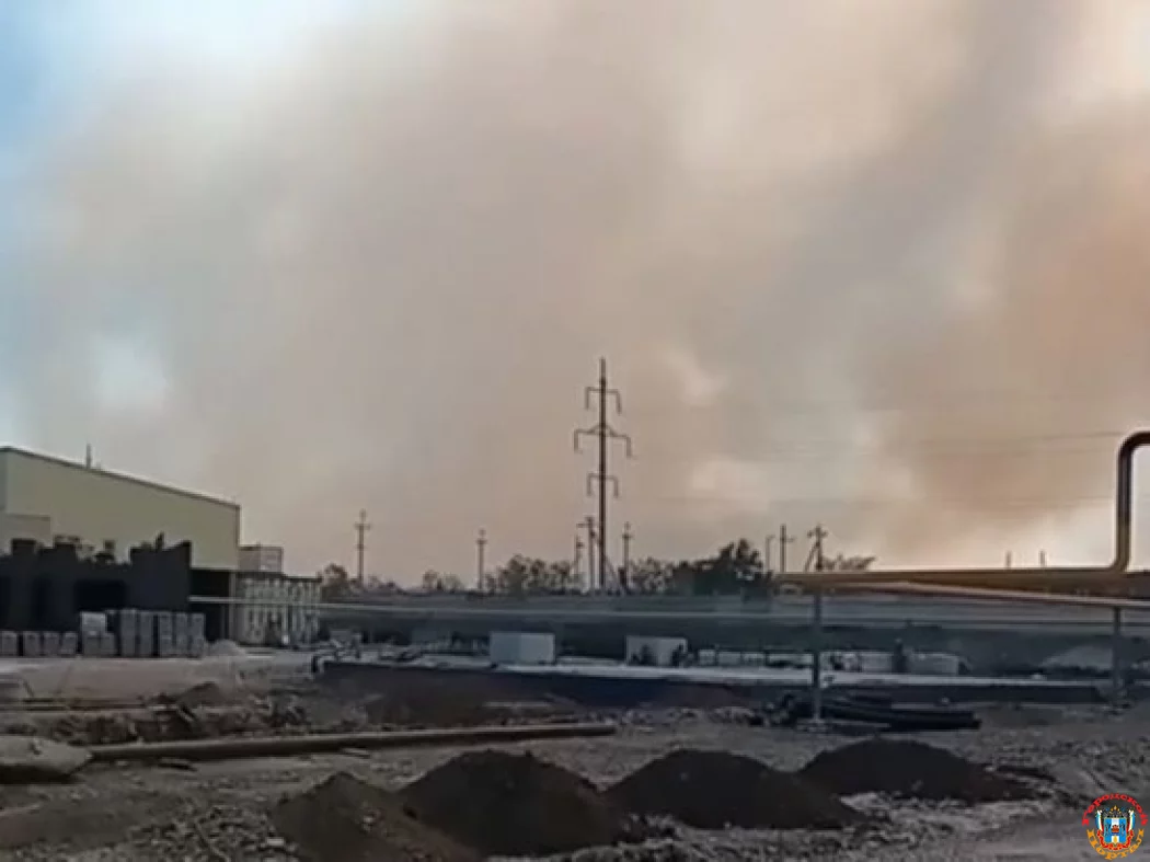 Под Каменском произошел крупный ландшафтный пожар