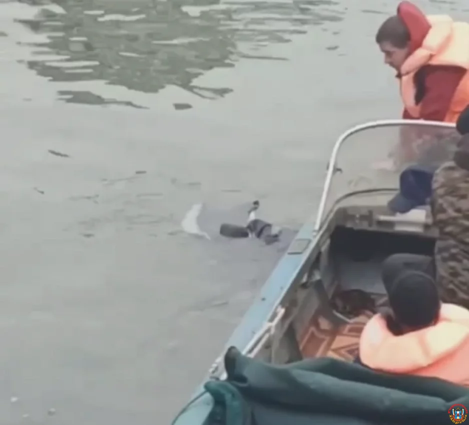 Упал с Ворошиловского моста мужчина и погиб