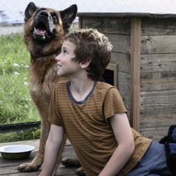 "Это не русский "Хатико": чем интересен фильм "Пальма"