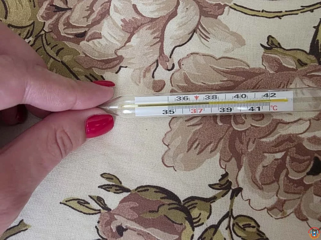 Респираторная рокировка на Дону: метапневмовирус вытеснил грипп из списка главных угроз