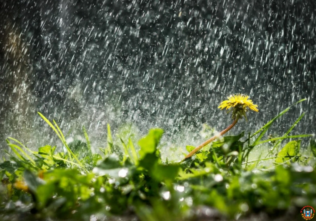 В первый день лета в Ростове-на-Дону ожидается дождь с грозой