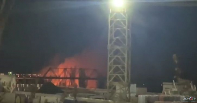 На Зеленом острове в Ростове потушили пожар