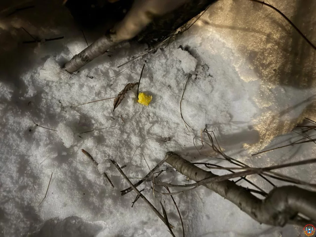 Бизнес на &laquo;запрещенке&raquo; не задался: в Каменоломнях полиция сорвала планы трио начинающих дилеров