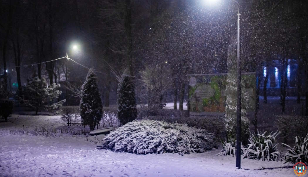 Мокрый снег и небольшой мороз: какая погода будет в Ростове 12 февраля