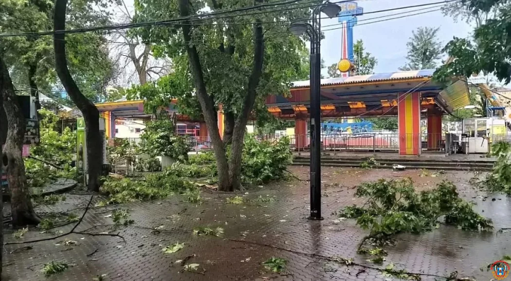 Ураган в Ростове: глава города показал масштаб разрушений в парках